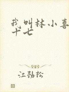 我叫林小喜今年十七