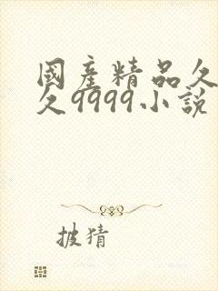 国产精品久久久久9999小说