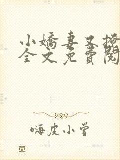 小娇妻又撩又甜全文免费阅读