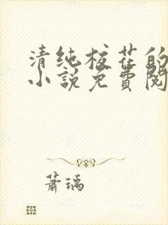 清纯校花的秘密小说免费阅读