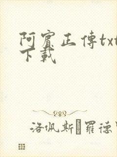 阿宾正传txt下载