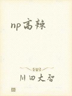 np高辣