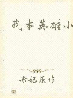 我本英雄小说