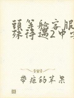 头等舱客服的特殊待遇2中字