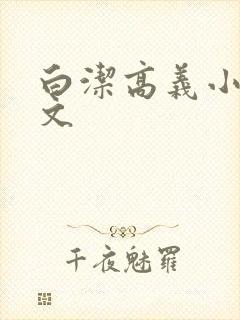 白洁高义小说全文