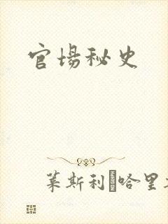 官场秘史