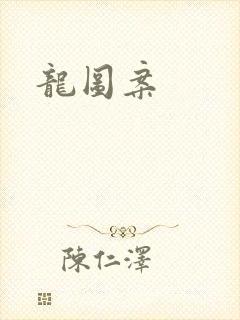龙图案