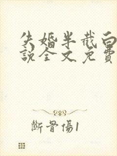 失婚半截白菜小说全文免费阅读