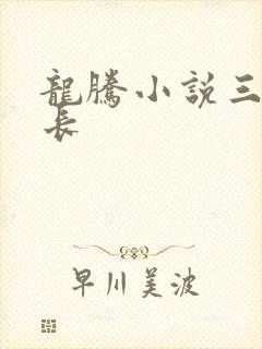 龙腾小说三宝局长