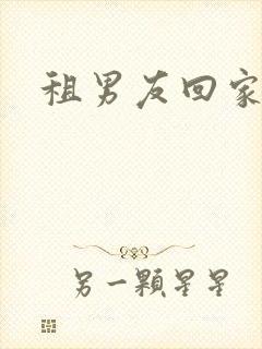 租男友回家过年