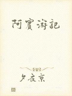 阿宾游记