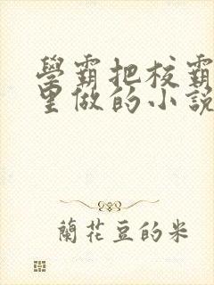 学霸把校霸往死里做的小说