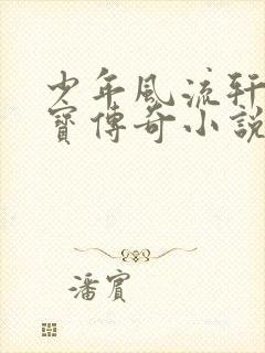少年风流轩辕大宝传奇小说