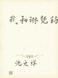 我和琳梵的故事