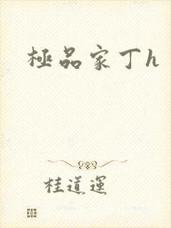 极品家丁h