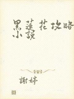 黑莲花攻略手册小说