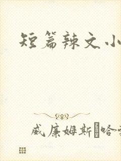 短篇辣文小说