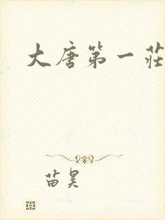 大唐第一庄