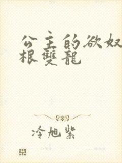 公主的欲奴h四根双龙