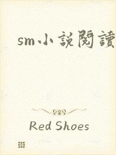sm小说阅读