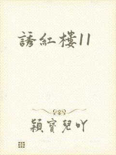 诱红楼11