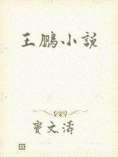 王鹏小说