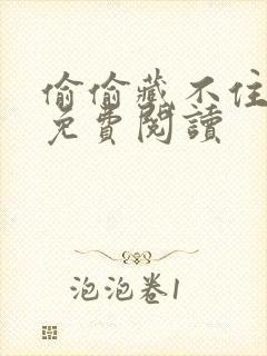 偷偷藏不住小说免费阅读