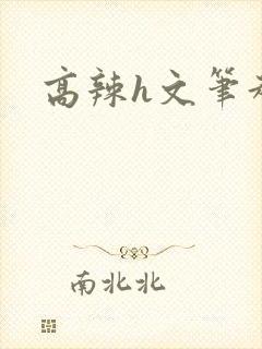高辣h文笔趣阁