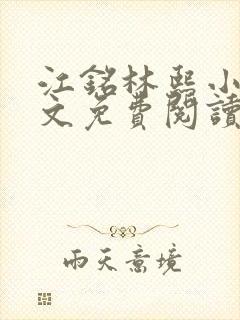 江铭林熙小说全文免费阅读