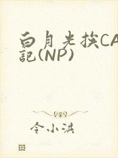 白月光挨CAO记(NP)