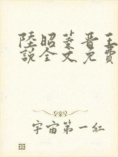 陆昭菱晋王的小说全文免费阅读