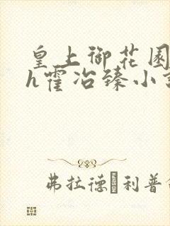 皇上御花园hlh霍冶臻小说