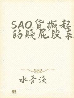 SAO货撅起你的贱屁股来