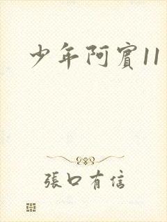 少年阿宾11