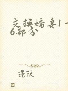 交换娇妻1一36部分