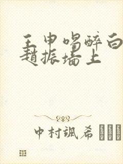 王申喝醉白洁被赵振墙上