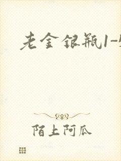 老金银瓶1-5