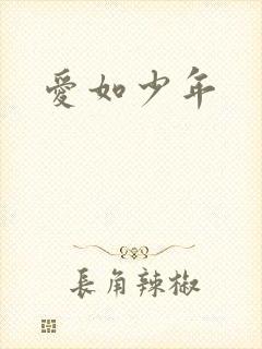 爱如少年