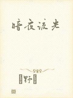 暗夜流光