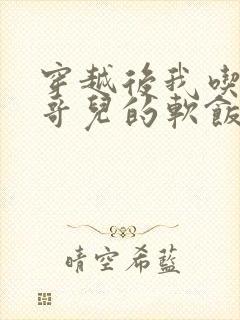 穿越后我吃到了哥儿的软饭炉山灰