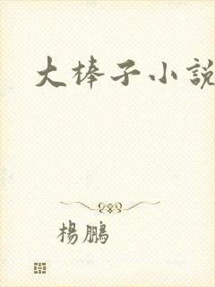 大棒子小说