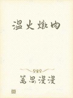 温火炖肉