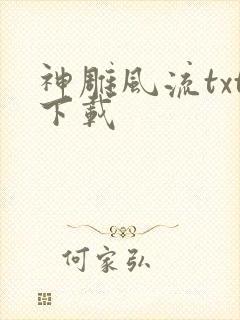 神雕风流txt下载