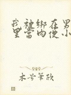 我被绑在男公厕里当肉便小说