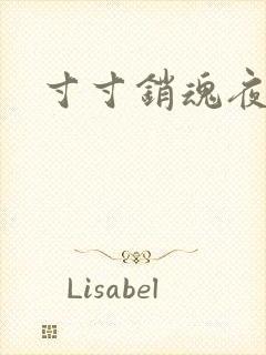 寸寸销魂夜春光