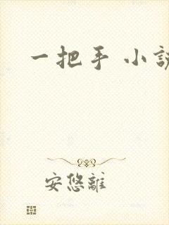 一把手 小说