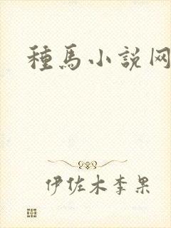 种马小说网