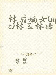 林府嫡女(npc)林玉林璋