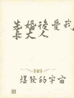 先婚后爱我的市长大人