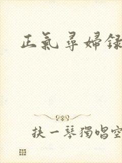 正气寻妇录